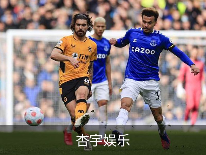 杏宇娱乐简介